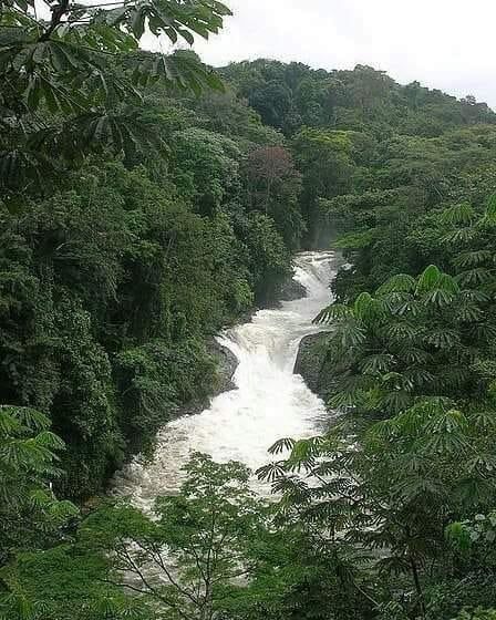 H i s t o r y V i l l e on Twitter: "The Kwa waterfalls, Akamkpa, Cross River State, South-South Nigeria. With over 300 species, Akamkpa has the highest concentration of diverse butterflies in the world. #HistoryVille… https://t.co/zKPW3G4TUD" Nigeria Travel, Cross River, Africa Do Sul, African Countries, Africa Travel, West Africa, Belleza Natural, Seychelles, Uganda