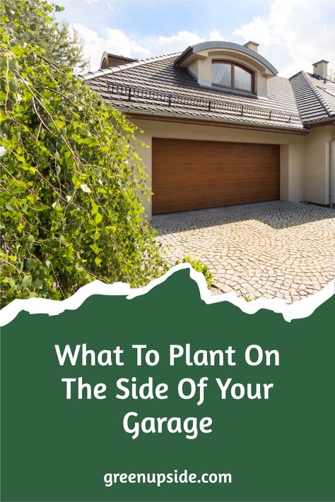 When landscaping the side of your garage, your choices for plants might be limited by the soil: dry, wet, shallow, or nonexistent (in the case of concrete). However, you still have options when it comes to planting on either side of your garage. Here are some ideas. #landscaping #garage Landscape Ideas For Side Of House Garage, Plants On Side Of Garage, Landscaping Along Garage Wall, Plants On Each Side Of Garage Door, Garage Landscape Ideas, Side Garage Landscaping, Landscape Around Garage, Side Of Garage Landscaping, Garage Landscaping Ideas