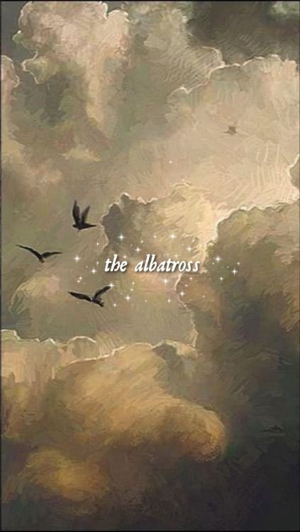 The Albatross Aesthetic, Albatross Wallpaper, The Albatross, Broken Hearts, Love Painting, Black Dog, Phone Backgrounds, Wallpaper Quotes, Poets