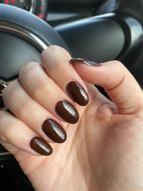 Chocolate Oval Nails, Chocolate Brown Nails Acrylic Almond, Dark Brown Oval Nails, Chocolate Brown Almond Nails, Dark Brown Nails Short, Fall Nails Round Shape, Brown Round Nails, Deep Brown Nails, Nails Chocolate Brown