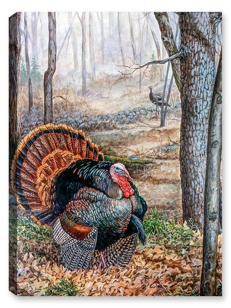 Spring Rendenvous Turkey - Canvas Art Plus Entry Garden, Dining Room Entry, Turkey Drawing, Banana Leaf Art, Turkey Painting, Painting Shop, Turkey Art, Hunting Art, Thanksgiving Art