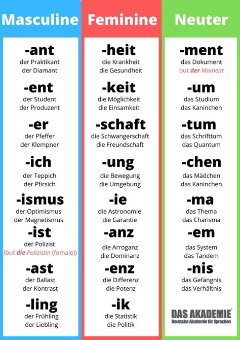 Mastering The German Articles Learning German Worksheets, German Phrases Learning, Deutsch Language, German Resources, Study German, Studera Motivation, German Study, German Phrases, Germany Language