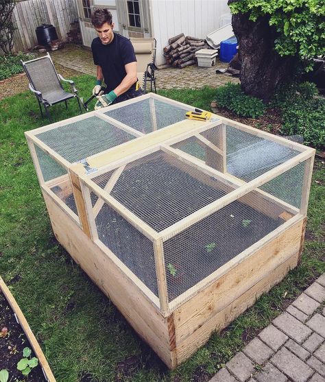 Our enclosed raised bed is looking KICKASS!  Now just the outter strapping needs to go on (mostly cosmetic, to cover the ends of the wire mesh) and we're golden. Another killer original design and build by @jeffreymcglynn, my #mcm (ok I'm a day behind, I took this on Monday) 😍😍😍. #raisedbed #gardenenclosure #hemlock #protected #almostdone #animalproof #awesome #mylove #design #build #urbangarden #urbangardening #growyourownfood #urbangarden #holisticnutrition #holistichealth #welln... Elevated Garden Bed With Cover, Garden Enclosures, Veg Planters, Enclosed Garden Beds, Outdoor Garden Bed, Vege Garden, Strawberry Planter, Desert Gardening, Garden Cover