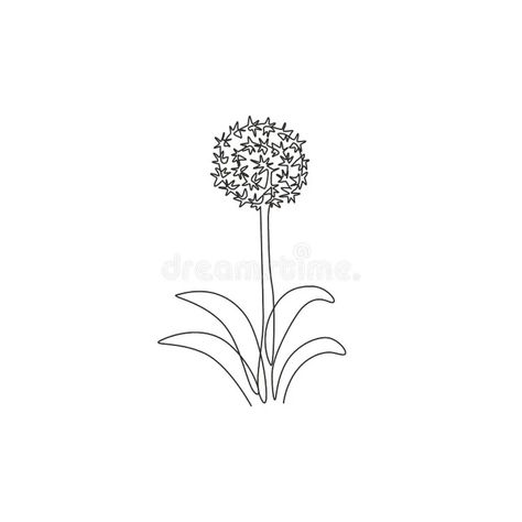 Allium Tattoo, Allium Giganteum, Onion Flower, Allium Flowers, Concept Home, New Tattoos, Line Drawing, Wall Decor, Tattoos