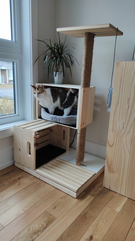 Katt Grejer, Chat Diy, Cat Patio, Diy Cat Tree, Cat House Diy, Cat Towers, Cats Diy Projects, Cat Playground, Homemade Cat