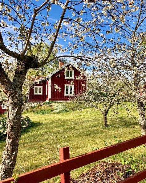 Sweden Aesthetic, Walpurgis Night, Goat House, Swedish Cottage, Sweden House, Red Houses, Visit Sweden, Farm Lifestyle, Spring Pictures