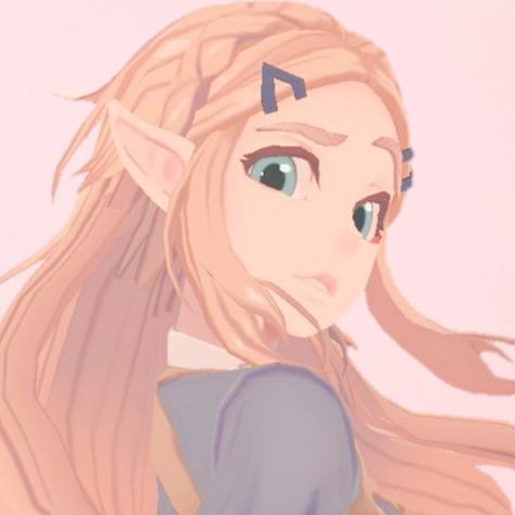 Zelda Pfp, Zelda Icon, Botw Zelda, Elf, Zelda, Blonde, On Twitter, Twitter, Hair