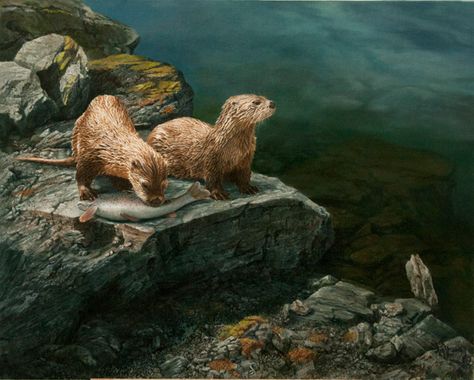 Otter Painting, Robert Bateman, River Otters, Aquatic Art, Otter Art, Wild Art, Wildlife Artwork, River Otter, Animal Artwork