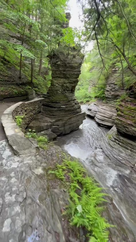 Walk With Me: Join me as we walk the gorge trail at Buttermilk Falls State Park in Ithaca, NY. The contours along the shale walls leaves one in awe—the... | By John Kucko Digital Nature Homes, Buttermilk Falls, Ithaca Ny, The Gorge, Vacation Goals, Vacation Places, Buttermilk, State Park, Join Me