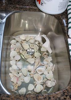 Seashell Wreaths, Shell Wreaths, Seashell Ideas, Seashore Decor, Beach Wreaths, Shell Projects, Sea Shells Diy, Diy Beach Decor, Shell Craft