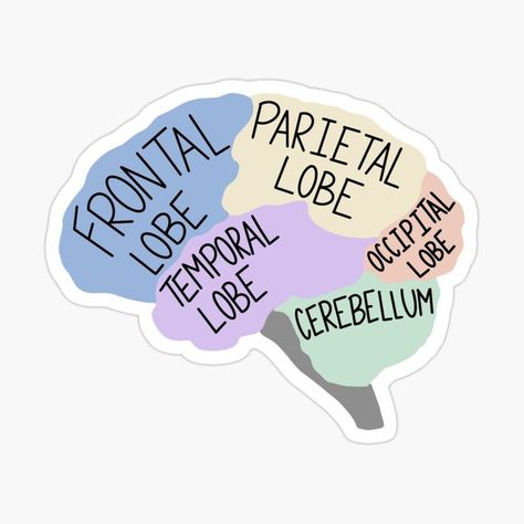 Developmental Psychology Aesthetic, Psychology Stickers Aesthetic, Neurosurgeon Notes, Disabilities Poster, Neuroscience Aesthetic, Aesthetic Brain, Psychology Stickers, Brain Aesthetic, Psychology Aesthetic