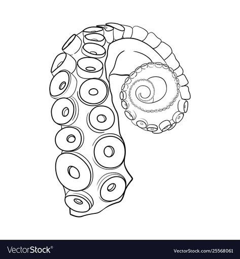 Octopus Tentacles Drawing Simple, Octopus Head Drawing, Tentacle Illustration, Octopus Tentacle Drawing, Octopus Colorful, Tentacle Drawing, Tentacles Drawing Reference, Tenticals Reference, How To Draw Tentacles