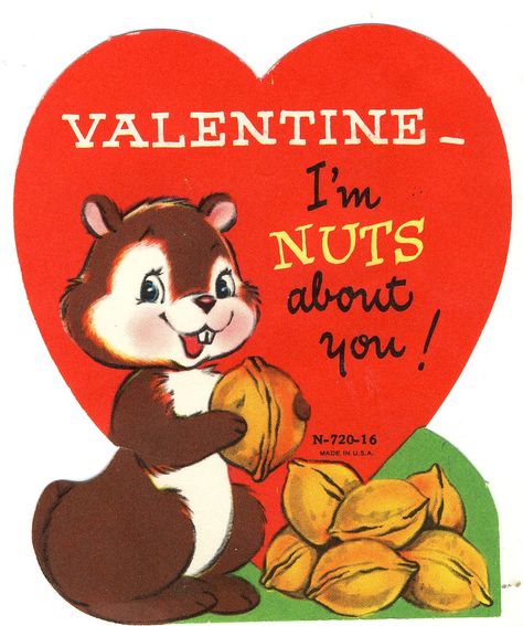 Valentine I'm nut's about you | 1971 Valentine | maryslittlecorneroftheworld | Flickr Vintage Holiday Cards, Valentine Images, Vintage Valentine Cards, Valentines Printables Free, Valentine Greeting Cards, Valentines Greetings, Retro Valentines, My Funny Valentine, Vintage Valentine