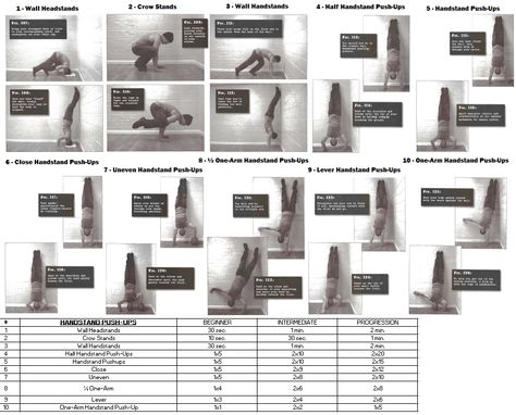 bodyweight training stands progressions! follow this if you want to learn how to do a handstand pushup #handstand #training #bodyweight Handstand Pushup, Convict Conditioning, Wall Handstand, Handstand Training, Clean Program, Bodyweight Training, Body Build, Conditioning Workouts, Body Weight Training