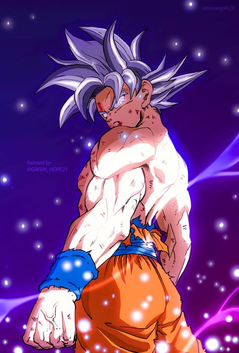 Mui Goku, Goku Mui, New Ghost Rider, Goku Art, Ultimate Dragon, Dragon Super, Dragon Z, Dragon Ball Wallpaper Iphone, Ultra Instinct