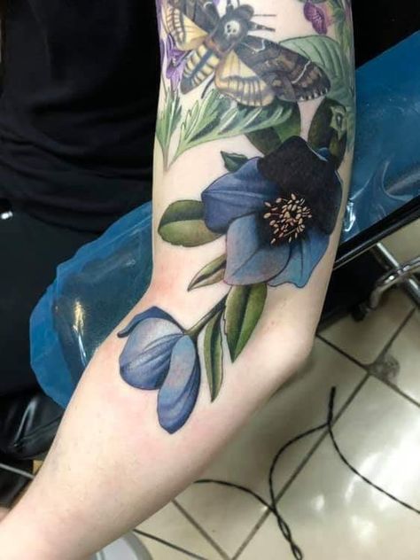 Dark Color Tattoo Cover Up, Color Realism Flower Tattoo, Hellebore Flower Tattoo, Dark Botanical Tattoo, Poisonous Flowers Tattoo, Cheeky Tattoos, Hellebore Tattoo, Dark Floral Tattoo, Tattoo Touch Up