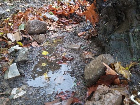 Muddy Aesthetic, Universe Photography, Muddy Waters, Water Flow, Universe, Texture, Water, Wood, Photography