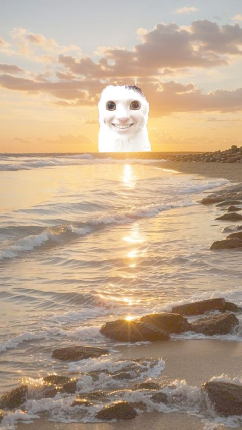 using this as my alarm background #surrealism #sunset #cat #imgonnashitmypant #enjoy Alarm Wallpaper, Alarm Background, Meaningful Drawings, Goth Makeup, Makeup Stuff, Surrealism, Funny Pictures, Kitty, Wallpapers