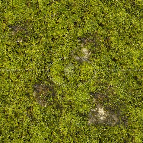 Moss texture seamless 13154 Grass Texture Illustration, Grass Texture Photoshop, Moss Texture, Soil Texture Architecture Photoshop, Grass Texture Seamless Photoshop, Grass Texture Seamless, Architecture Photoshop, Green Grass Texture, Free Texture Backgrounds