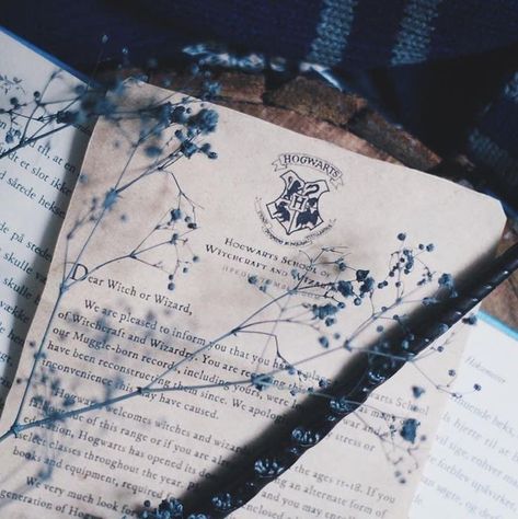 Ravenclaw Room, Blue Academia, Ravenclaw Harry Potter, Catelyn Stark, Ravenclaw Pride, Harry Potter Oc, Ravenclaw Aesthetic, Cho Chang, Ravenclaw House