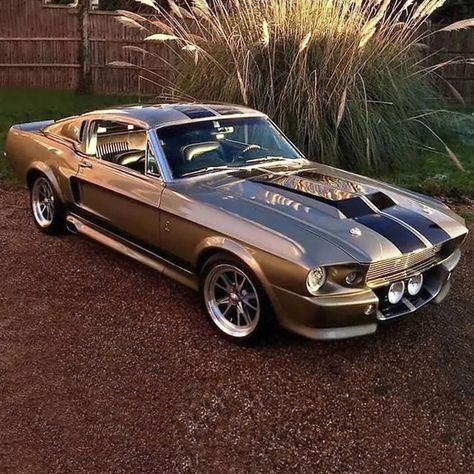 Classic Car Family on Instagram: "Eleanor _ #Classic #classics #Classiccar #classiccars #americanmuscle #Musclecar #Musclecars #car #cars #ford #Mustang #Eleanor #Shelby" Old Mustang, Mustang Muscle Car, Cars Mustang, Mobil Mustang, Shelby Gt 500, 1971 Ford Mustang, Muscle Cars Mustang, Mustang Car, مرسيدس بنز