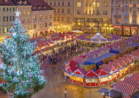 Christmas spirit in Bratislava Tree Town, Estonia Tallinn, Štědrý Den, Background Winter, Blurred Lights, German Christmas Markets, European Christmas, Christmas Dreaming, Christmas Markets Europe