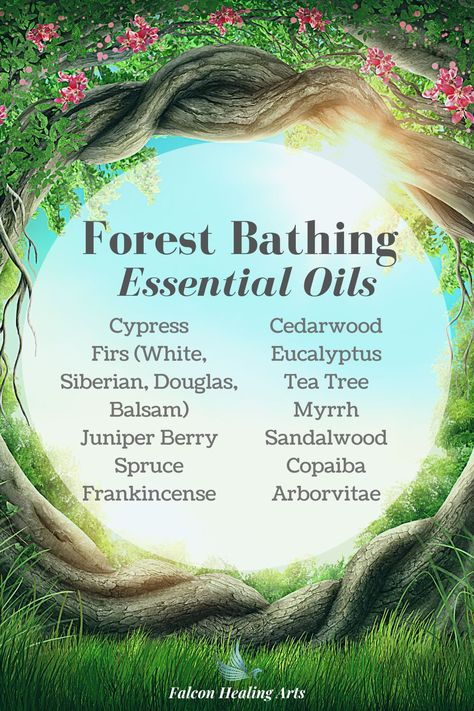 Forest Bathing How To, Forest Diffuser Blends, Midnight Forest Diffuser Blends, Forest Bathing Essential Oils, Woodsy Essential Oil Diffuser Blends, Horticulture Therapy, Forest School Activities, Essential Oils Bath, Essential Oils Health