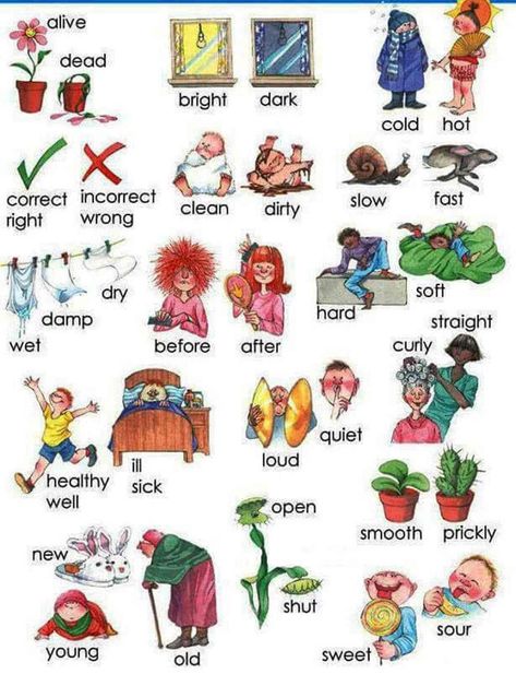 Opposites (or antonyms) are words lying in an inherently incompatible binary relationship, like the opposite pairs big/ small, long/ short, and precede/ follow. Opposite Words For Kids, Dictionary For Kids, English Adjectives, Spanish Lessons For Kids, Esl Vocabulary, Opposite Words, English Worksheet, Picture Dictionary, English Vocab