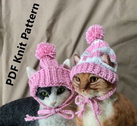 Knit Hat Pattern Hats for Cats Knit Caps Beanie Cat Hats - Etsy Canada Hats For Cats, Crochet Pom Pom Hat, Pattern Hats, Miniature Dog Breeds, Cat Hats, Knit Caps, Knit Hat Pattern, Crochet Cat Hat, Funky Hats