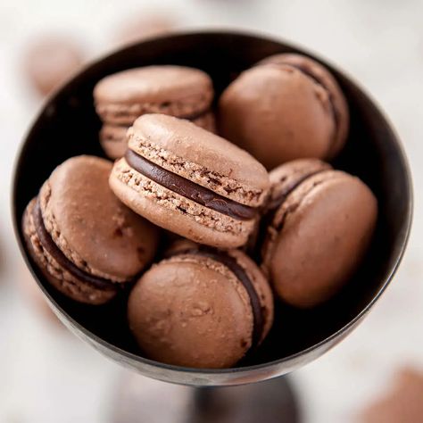 Chocolate Macaron Recipe For Beginners – Sugar Geek Show Chocolate Macaron Recipe, White Velvet Cakes, Easy Buttercream Frosting, Cake Pan Sizes, Sugar Geek, French Almond, Chocolate Macarons, Chocolate Macaroons, Ganache Filling