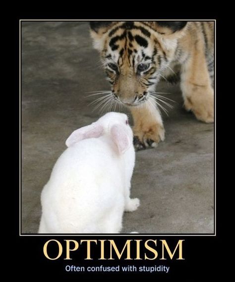 #Demotivational Posters: Optimism Poster Prints Quotes, Demotivational Quotes, Posters Quotes, Motivational Memes, Funny One Liners, Mask Style, Demotivational Posters, Good Morning Funny, Funny Words