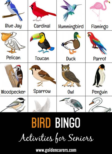 Bird themed picture bingo game.  We have a bird-watching club and I thought this was a good addition to incorporate into our bird-related activities.  When a resident calls Bird Gross Motor Activities, Bird Games, Bird Theme Kindergarten Activities, Bird Themed Activities, Bird Bingo Free Printable, Birds Prek Activities, Bird Bingo, Elderly Activities, Bird Migration