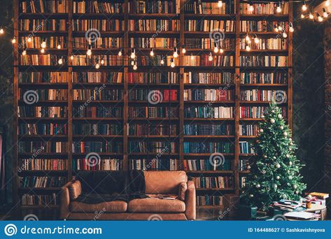 Photo about New year decorated room bookcase with lights christmas tree sofa. Image of furniture, concept, cyan - 164488627 Bookcase With Lights, Bookcase Lights, Christmas Bookshelf Decor, Bookshelf Decor Living Room, Christmas Tree Room, Christmas Bookshelf, Furniture Concept, Lights Christmas Tree, Decorated Room