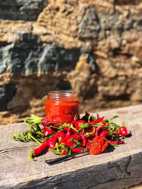 Fermented Chilli, Starter Cultures, Harvest Kitchen, Fermentation Recipes, Fermented Vegetables, Chilli Paste, Chili Paste, Chilli Sauce, Fermented Foods