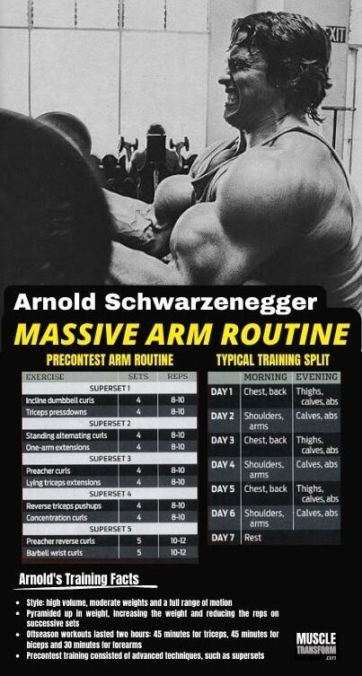 Arnold Schwarzenegger is known for his impressive arm development, and he had various arm workout routines throughout his career. We will explore 10 powerful arm exercises that have been a part of Arnold’s pre-contest arm workouts regimen. From classic bicep curls to skull crusher, each workout is designed to target specific muscle groups and overall arm definition.. Arnold Schwarzenegger Arm Workout, Arnold Arm Workout, Arnold Back Workout, Arm Workout Routines, Spartan 300 Workout, Arnold Schwarzenegger Workout, Arnold Schwarzenegger Gym, Arnold Schwarzenegger Muscle, Arnold Workout