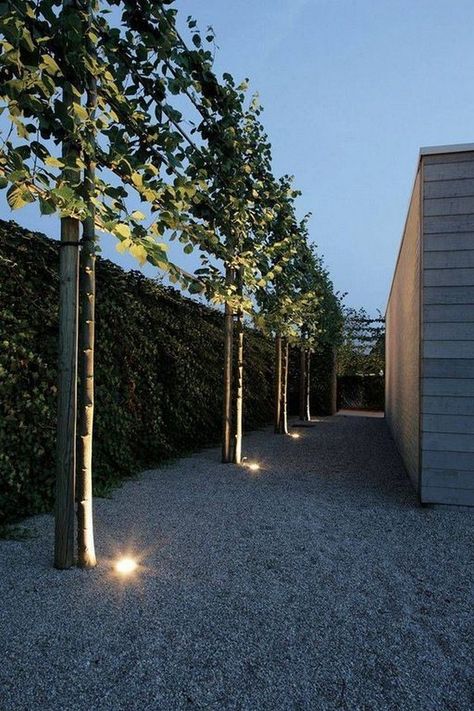 Contemporary Garden Design, Living Fence, Future Garden, Gravel Path, Garden Vines, Garden Screening, Privacy Walls, Modern Garden Design, Contemporary Garden