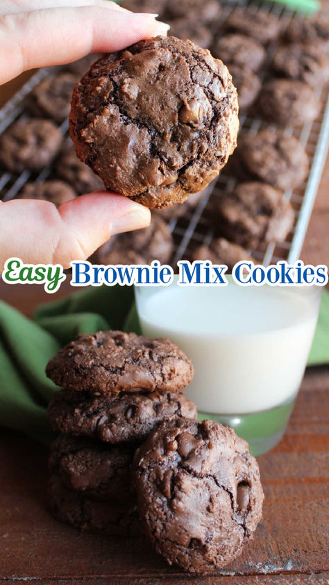 You can make rich fudgy cookies in no time at all with this easy brownie mix cookie recipe. They take just 6 simple ingredients to make. The cookies are bursting with chocolate flavor and have a nice crackle on the exterior with a chewy fudge-like center. Boxed Brownie Cookies Recipes, Cookies Made With Brownie Mix Boxes, Fudge Brownie Mix Cookies, Cake Mix Brownie Cookies, Boxed Brownie Cookies, Brownie Cookies From Mix Boxes Betty Crocker, Ghirardelli Brownie Mix Cookies, Brownie Mix Cookies 3 Ingredients, Brownie Mix Cookies Recipes