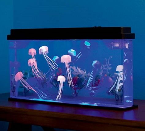 Stress-relieving products for the most wonderful time of the year. Jellyfish Tank Aquarium, Giant Jellyfish, Diy Jellyfish, Jellyfish Illustration, Jellyfish Photography, Jellyfish Tank, Jellyfish Decorations, Jellyfish Aquarium, Watercolor Jellyfish