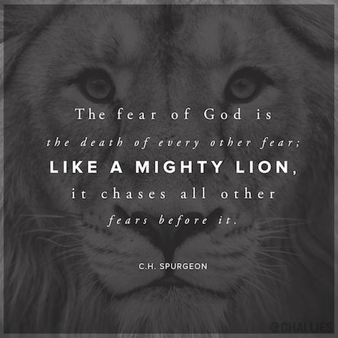 God Lion, Charles Spurgeon Quotes, The Fear Of God, Spurgeon Quotes, Charles Spurgeon, Psalm 119, Fear Of The Lord, Fear Of God, The Fear