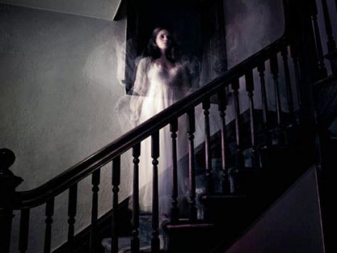 Leave the lights on when you read these bone-chilling stories of average people encountering the paranormal. Scary Ghost Stories, Assata Shakur, Alien Sightings, Paranormal Stories, Ghost Sightings, Ghost Videos, White Figures, Witch Books, Paranormal Activity