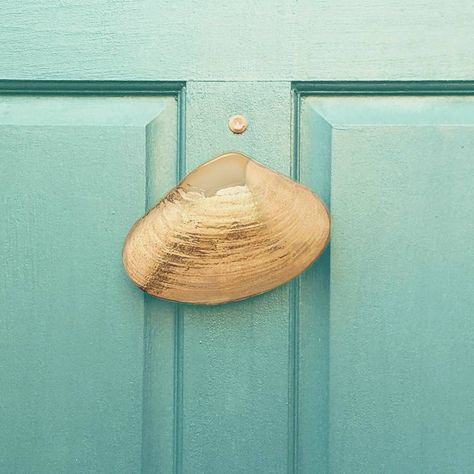 Clam Door Knocker - Faire Scallop Shell Door Knocker, Door Knockers Unique, Coastal Home, Blue Door, Door Knocker, Unique Doors, Humble Abode, Door Knockers, Craft Box