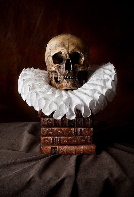 skull ruff still life | Flickr - Photo Sharing! Skull Reference, Graffiti Tattoo, Bookcase Decor, Arte Sketchbook, A Skull, Skull And Bones, Memento Mori, Hallows Eve, Architectural Design