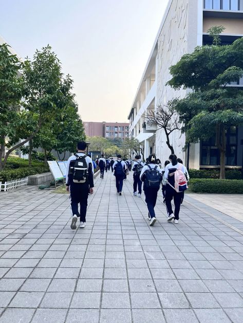 Chinese School Aesthetic Building, Chinese High School Aesthetic, South Korea High School, Asian High School Aesthetic, Chinese Student Aesthetic, Korea School Aesthetic, Korean Highschool Aesthetic, Idol School Dr, Korean School Life