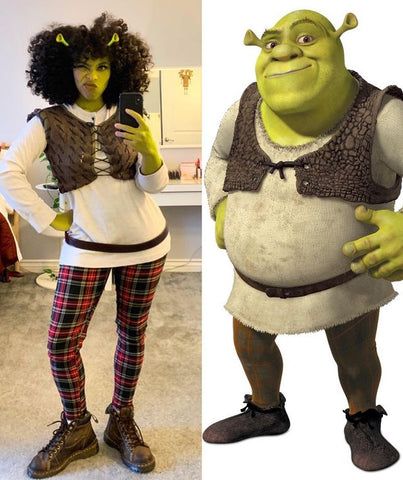 Shrek Costume Diy, Shrek And Fiona Costume, Sheet Costume, Fiona Costume, Rave Halloween Costumes, Badass Halloween Costumes, Shrek Costume, Character Halloween Costumes, Hot Halloween Outfits