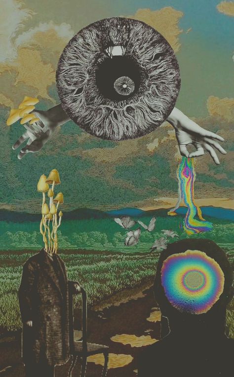 #collage #collageartist #art #eyes #digitalart #plants #botany #botanicalart #surreal #surralism #aesthetic #wierdart #strange #odd #beautiful #mushrooms #psilocybin #psilocybe #ethnobotany #surrealism Mushrooms Psilocybin, Surrealism Artwork, Beautiful Mushrooms, Art Eyes, Surrealism Photography, Collage Illustration, Collage Artists, Botanical Art, Digital Photography