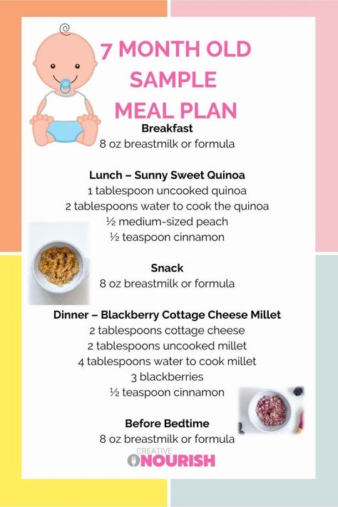 7 Month Old Meal Plan – Nutritionist Approved - Creative Nourish 7 Month Old Food, 7 Month Old Baby Food, 7 Months Baby Food, Baby Meal Plan, Baby Nutrition, 7 Month Baby, Baby Dinner, 7 Month Old Baby, Baby Food Chart