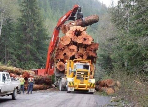 Sawmill Lumber, Portable Saw Mill, Crane Construction, Logging Industry, Big Timber, Merc Benz, Big Tractors, Logging Equipment, Forestry Equipment