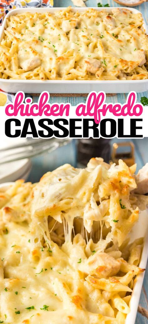 Fetuchini Alfredo, Shredded Chicken Casserole, Casserole Pasta, Creamy Chicken Alfredo, Alfredo Casserole, Baked Chicken Alfredo Pasta, Chicken Alfredo Casserole, Chicken Pasta Casserole, Cheesy Chicken Pasta