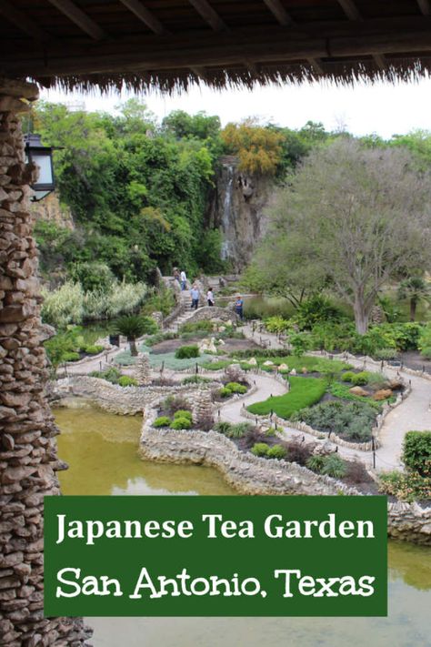 San Antonio Japanese Tea Garden: A peaceful oasis in San Antonio, Texas #SanAntonio #Texas #graden #Japanesegarden San Antonio Zoo Texas, Brackenridge Park San Antonio, San Antonio Botanical Garden, Japanese Tea Garden San Antonio, San Antonio Japanese Tea Garden, San Antonio Texas Mexican Market, San Antonio Things To Do, San Antonio Vacation, San Antonio Zoo