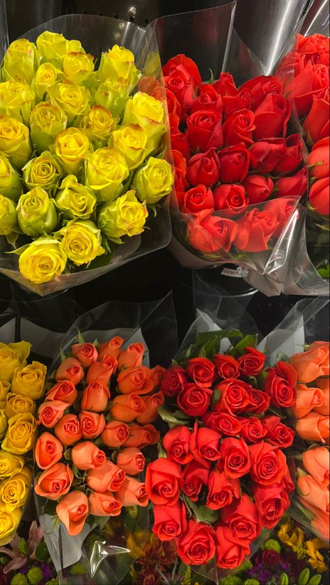 red, orange, and yellow flower bouquets Flower Therapy, Girls World, Grocery Store, Yellow Flowers, Stuffed Peppers, Flowers